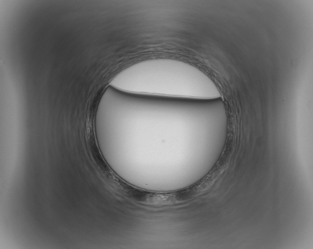 X0000113760129200909230955