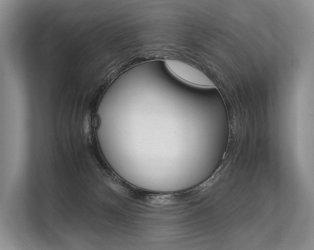 X0000113760132200909230955
