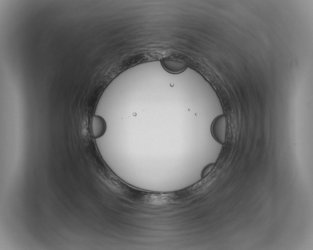 X0000113760134200909230955