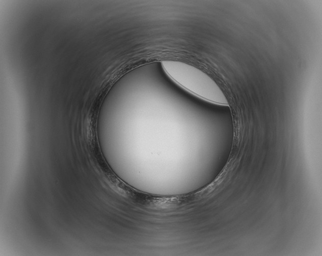 X0000113760136200909230955