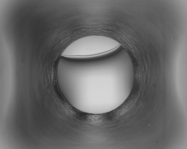 X0000113760139200909230955