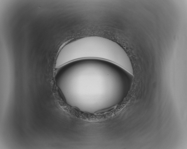 X0000113760144200909230955