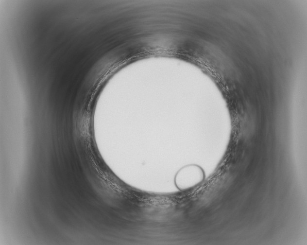 X0000113760146200909230954