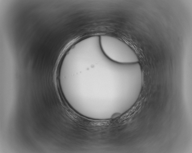 X0000113760147200909230954