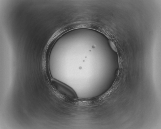 X0000113760150200909230954