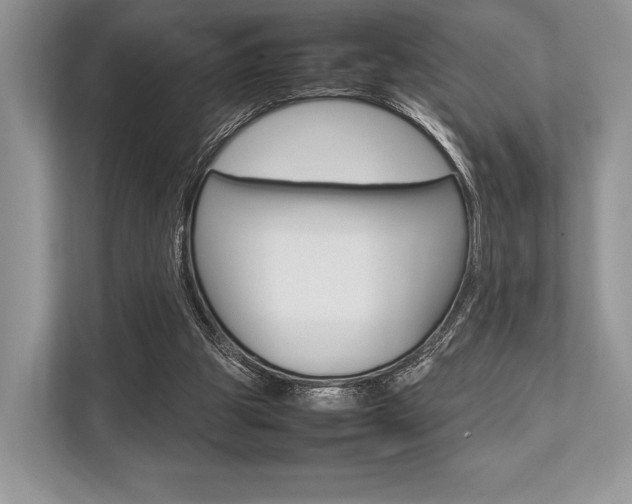 X0000113760153200909230954