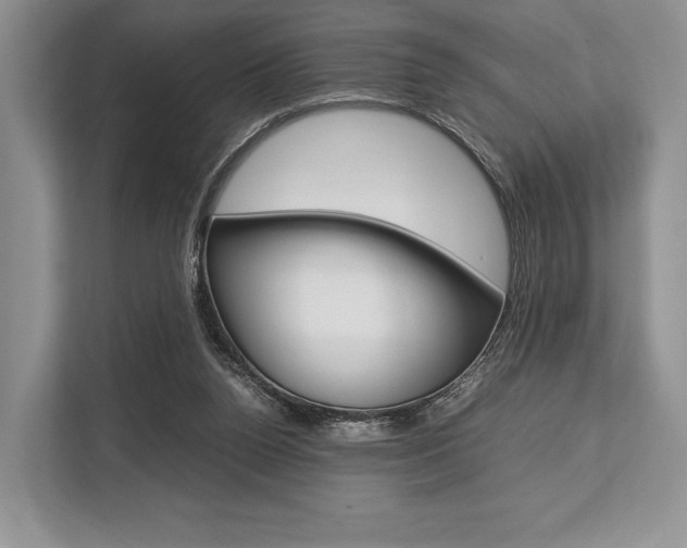 X0000113760160200909230954
