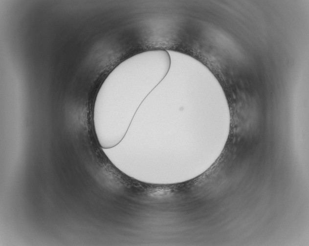 X0000113760162200909230954