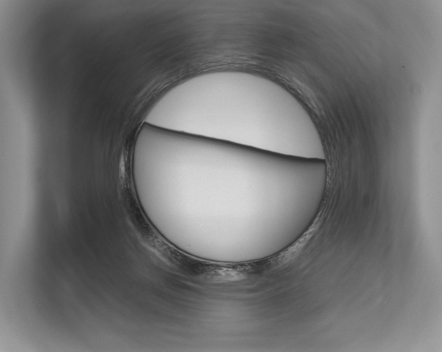 X0000113760166200909230954