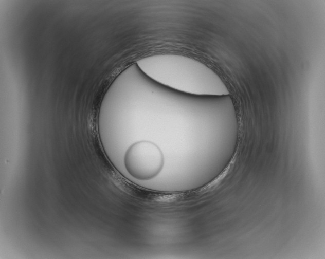X0000113760178200909230954