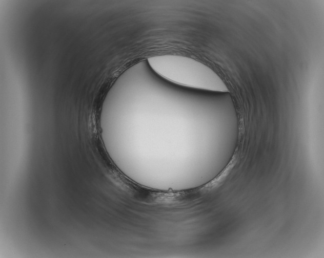 X0000113760182200909230954