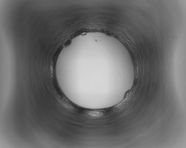 X0000113760183200909230954