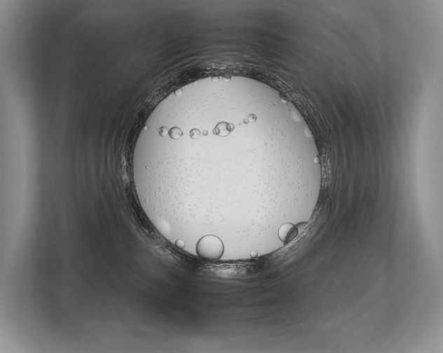 X0000113760187200909230955