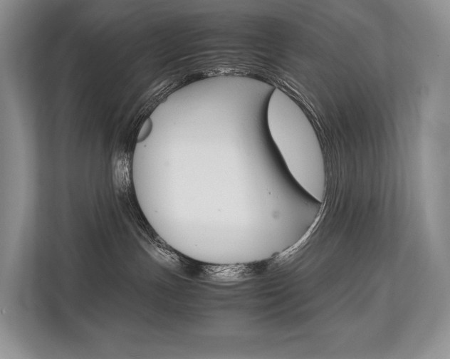X0000113760191200909230955