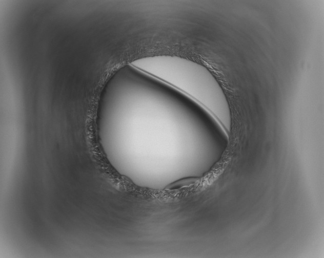 X0000113760192200909230955