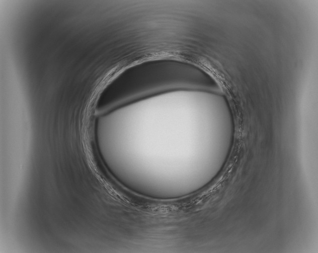 X0000113760193200909230954