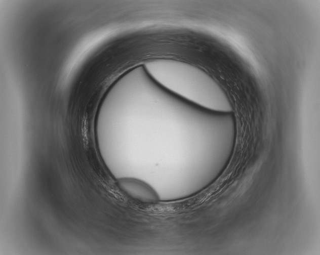 X0000113760194200909230954