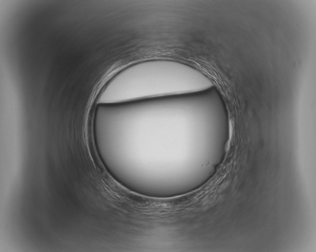 X0000113760195200909230954