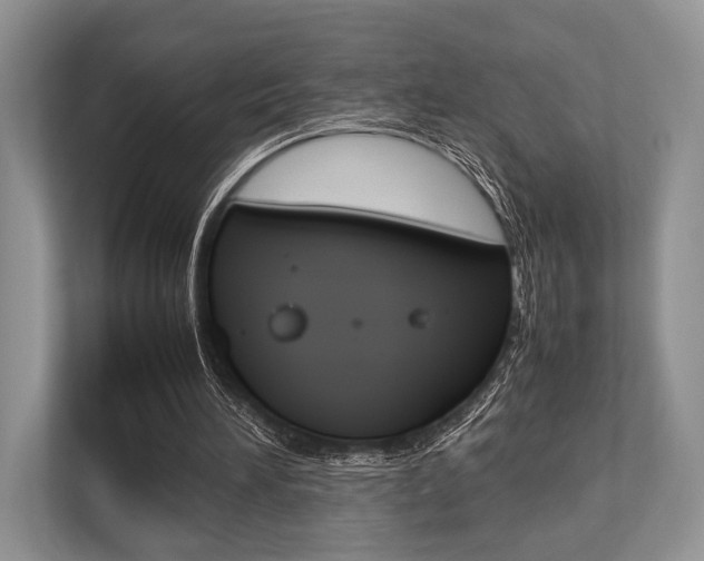 X0000113760196200909230954