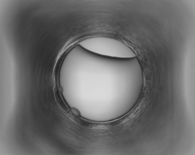 X0000113760198200909230954