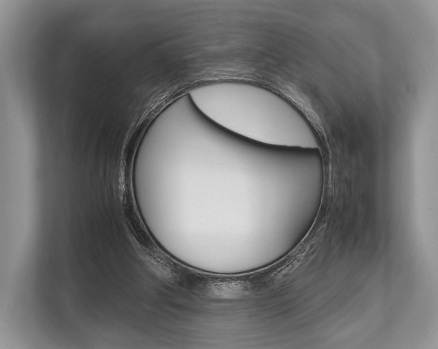 X0000113760202200909230954