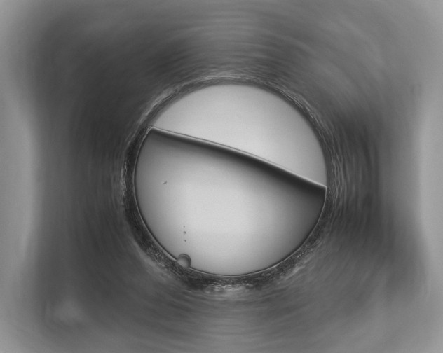 X0000113760208200909230954