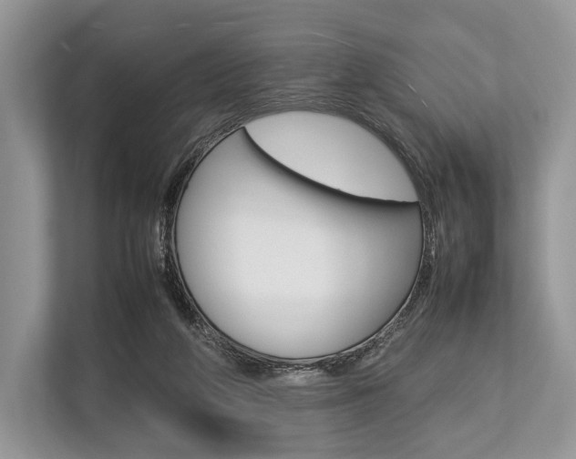 X0000113760210200909230954