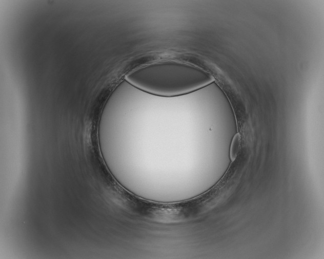 X0000113760217200909230953