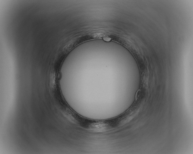 X0000113760219200909230953