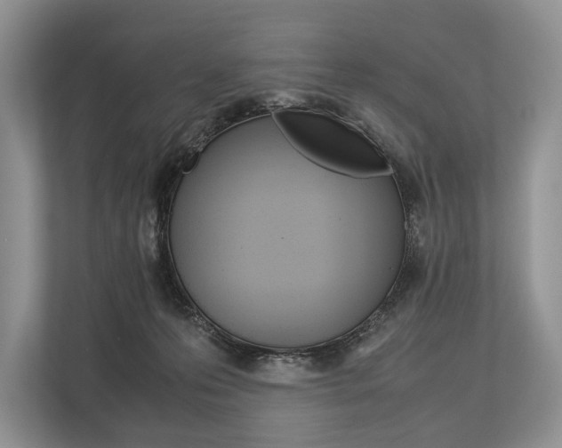 X0000113760223200909230953