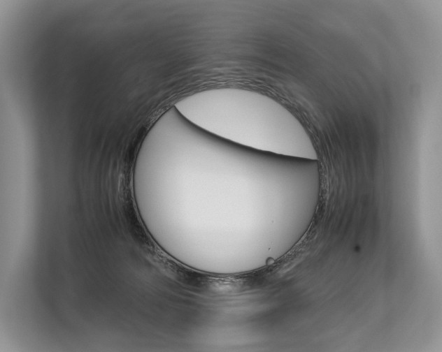 X0000113760226200909230953