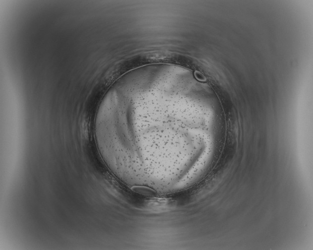 X0000113760227200909230953
