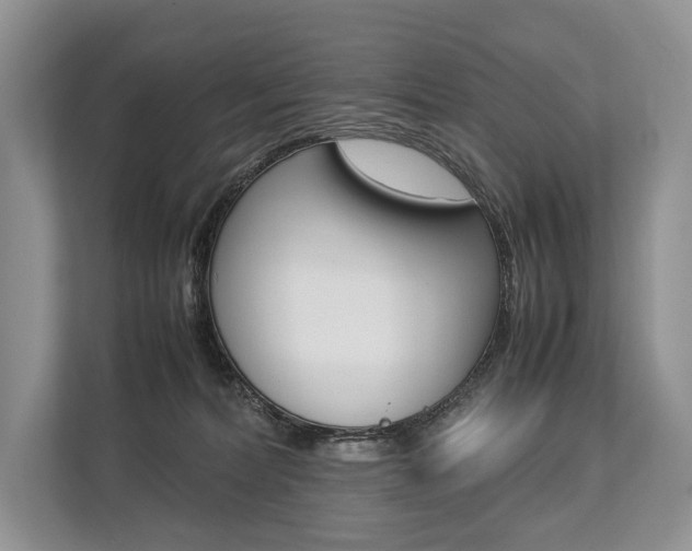 X0000113760228200909230953
