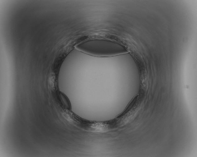X0000113760231200909230953