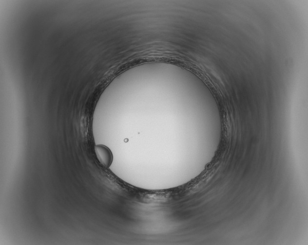 X0000113760232200909230953