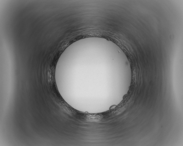 X0000113760234200909230953