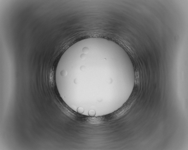X0000113760238200909230953