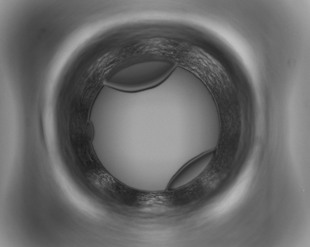 X0000113760239200909230953