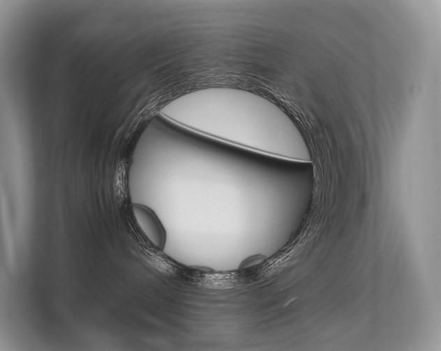 X0000113760240200909230953