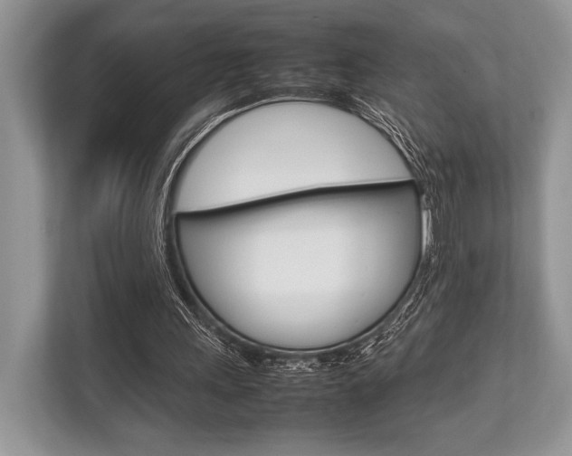 X0000113760243200909230953