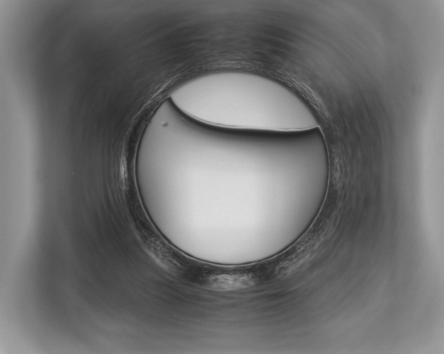 X0000113760251200909230953