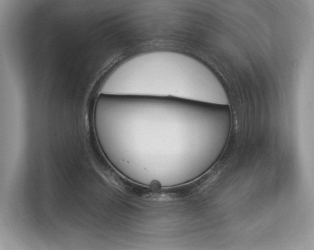 X0000113760254200909230953