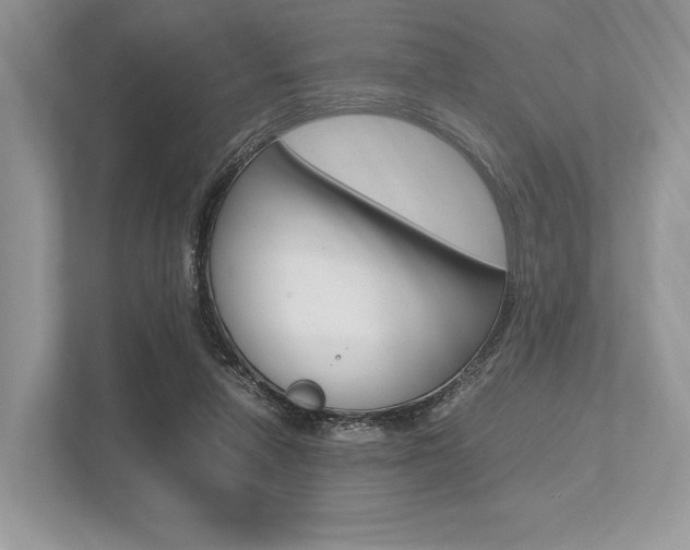 X0000113760258200909230953