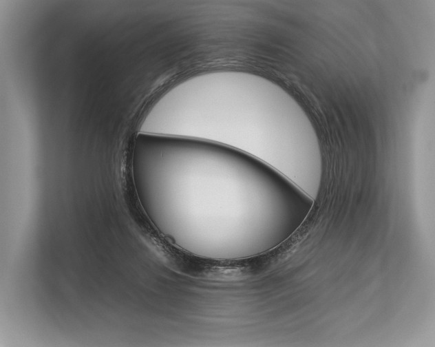 X0000113760260200909230953
