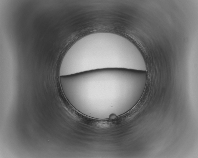 X0000113760261200909230953