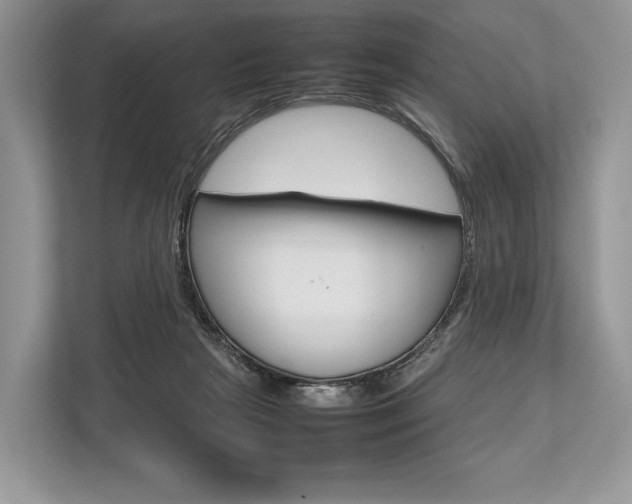 X0000113760265200909230953
