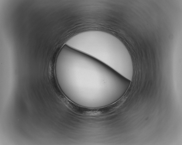 X0000113760266200909230953