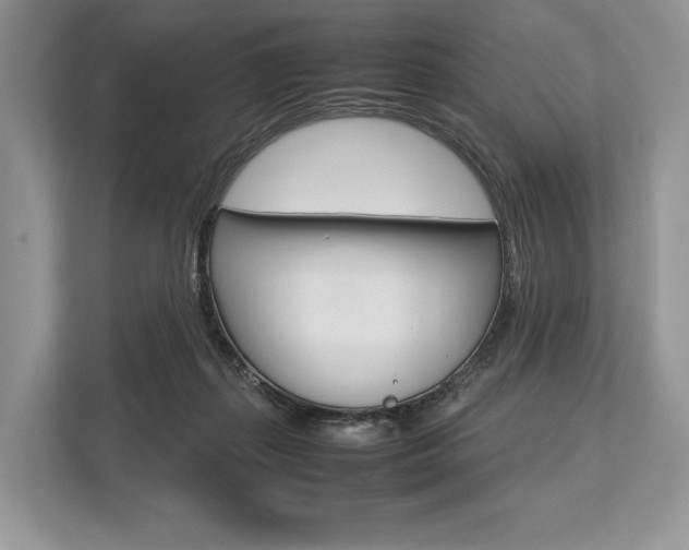 X0000113760267200909230953