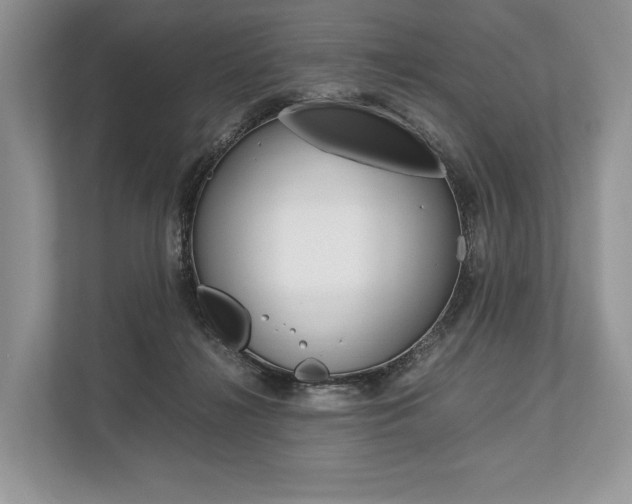 X0000113760268200909230953