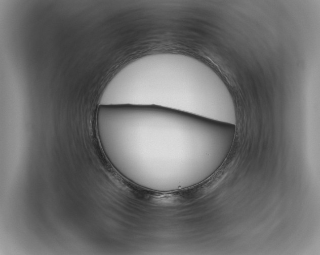X0000113760269200909230953
